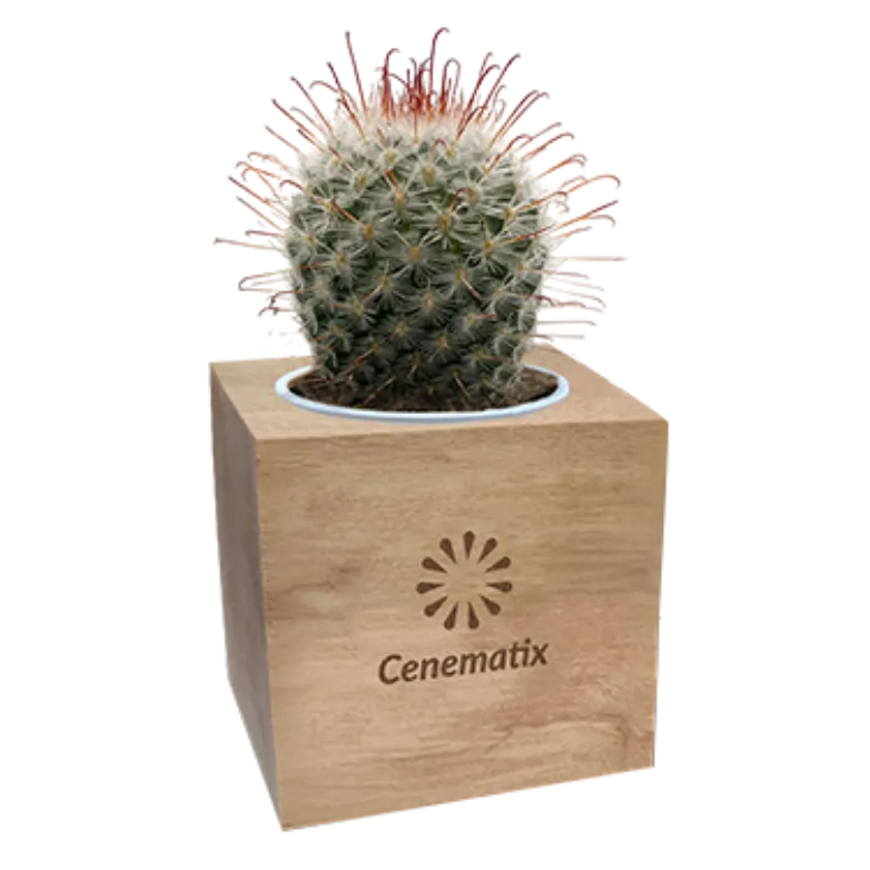 Branded Plant Gifts by Total Merchandise