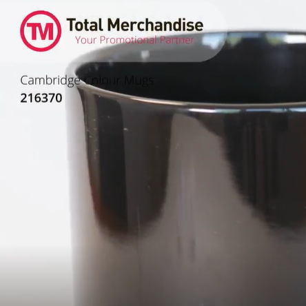 Cambridge Colour Mugs